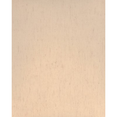 Тканевые ролеты Джайпур 2 цвет бежевый