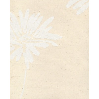 Рулонные шторы в Днепре