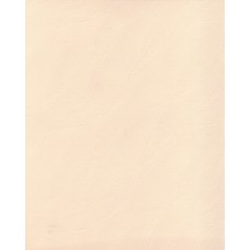 Ролеты тканевые Дюна цвет бежевый 3025