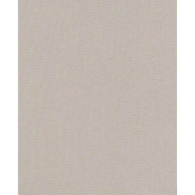 Тканевые ролеты Мунлайт цвет бежевый Тканевые ролеты Мунлайт цвет бежевый