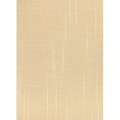 Вертикальные жалюзи купить в Каменец-Подольске Вертикальные жалюзи купить в Каменец-Подольске