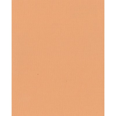 Японские жалюзи ткань Ара цвет персиковый 1051