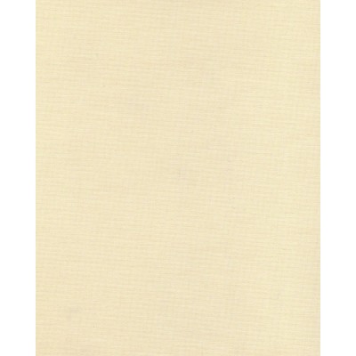 Японские жалюзи ткань Ара цвет бежевый 1006